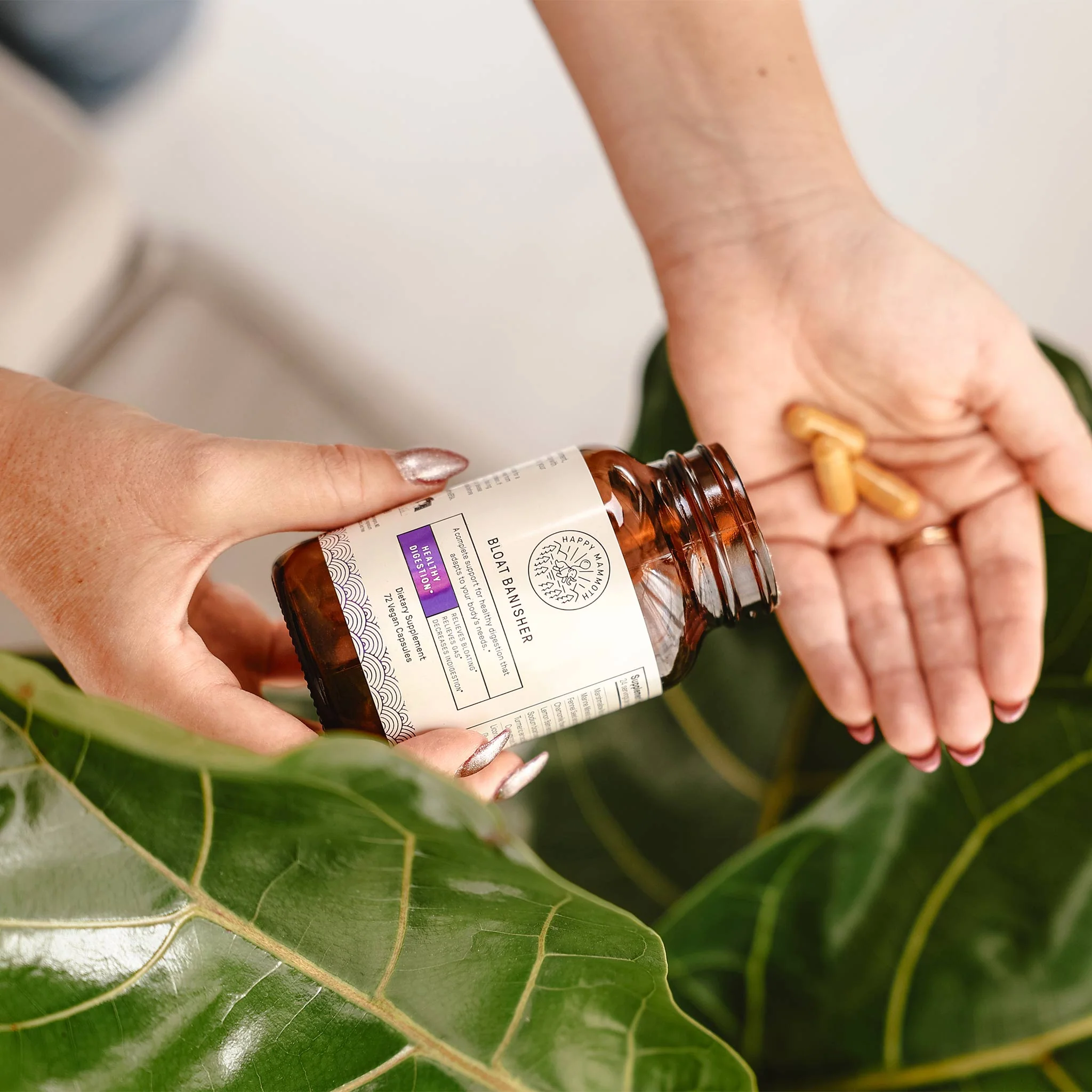 Bloat Banisher - Image 4