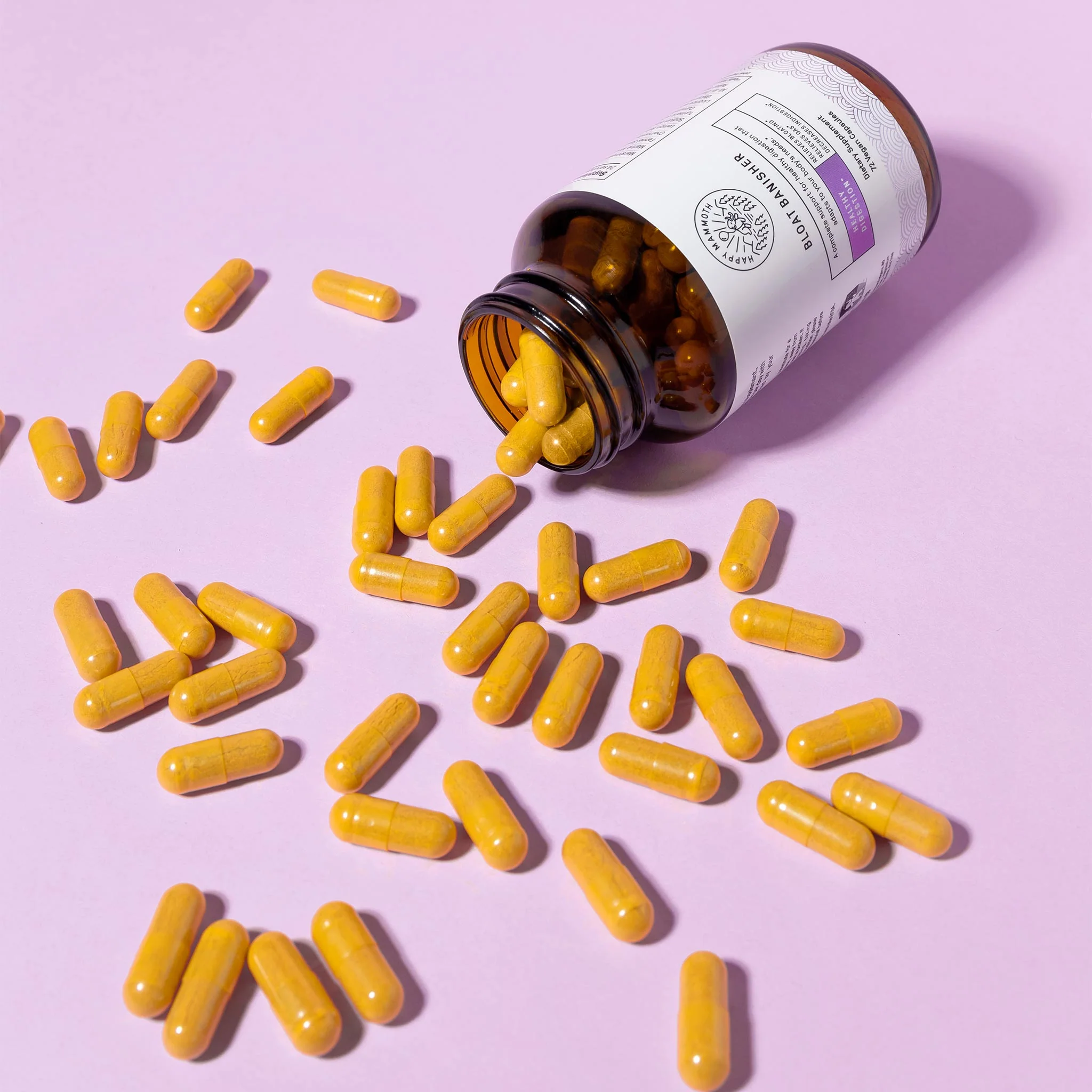 Bloat Banisher - Image 5