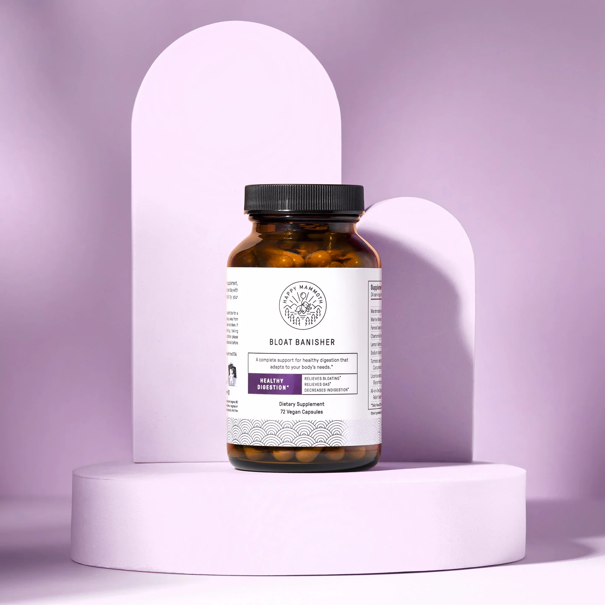 The Complete Gut Detoxification System - Image 6