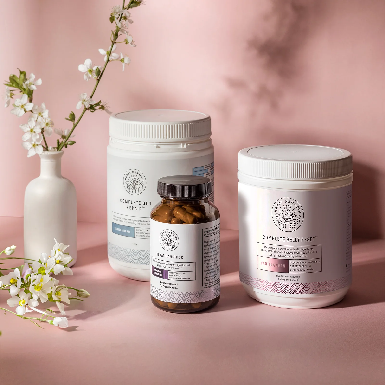 The Complete Gut Detoxification System - Image 8