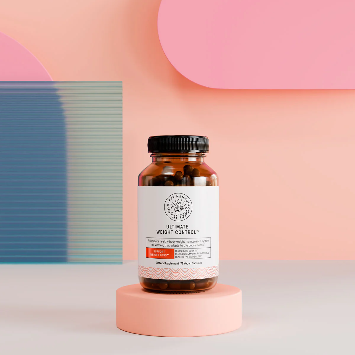 The Ultimate Weight Loss Protocol 3.0 PRO - Image 8